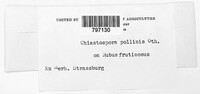 Image Associated With the Occurence